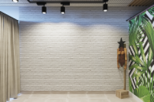 Лофт студия "Анаконда" Екатеринбург