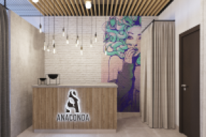 Лофт студия "Анаконда" Екатеринбург