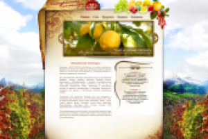 Натуральные лимонады