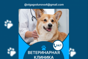 Дизайн карточек товара для маркетплейсов