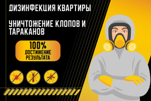 Дизайн на авито