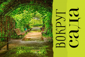 Пространство «Вокруг Сада