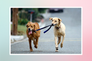 Удаление объекта