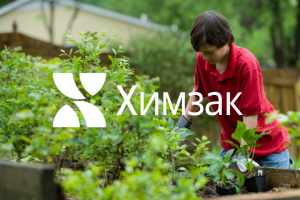 брендинг и айдентика для Хизмак