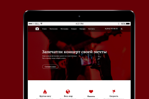 Photo For You (PFY). Концертные фотографы