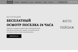 Лесной пейзаж (прототип)