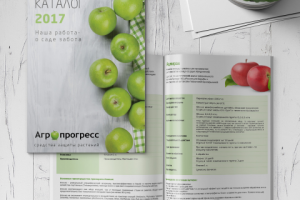 Работа 815352