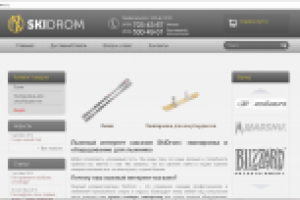Лыжный интернет магазин SkiDrom