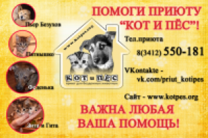 Работа 2731039