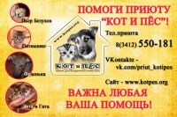 img2731039.png