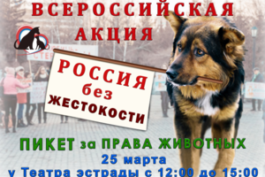 Макет для соц. сетей для Благотворительного Фонда Зоозащита