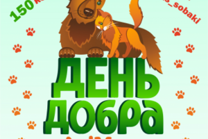 Листовка для благотворительной акции