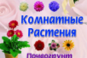 Живые цветы