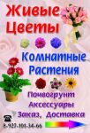 img1242165.png