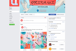 Оформление фейсбук - фестиваль оригами