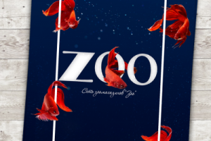 Зоо магазин