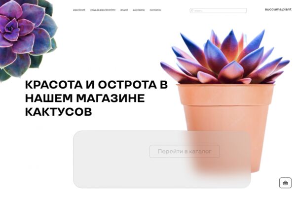 img4471165.png