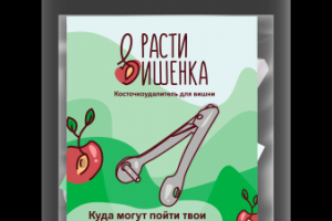 Упаковка для косточкоудалителя