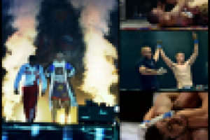 Профессиональный турнир по смешанным единоборствам