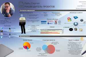 Пример инфографики в резюме