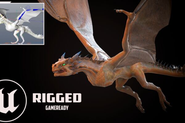img4307437.png
