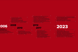 Историческая стена