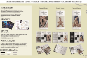 Проектное решение серии буклетов