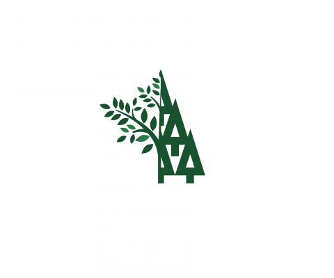 img4119749.png