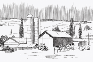 Иллюстрация для брошюры