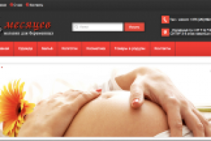 Магазин WP под ключ