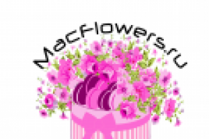 Работа 2679633