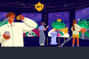 Векторная графика 1