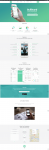 Создание сайта Bullsboard.com