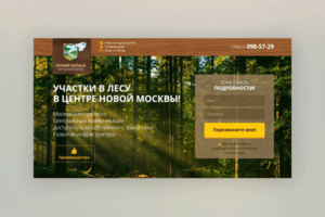 Лесной Пейзаж (landing Page)