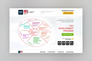 CEO Development Program (kmbs)