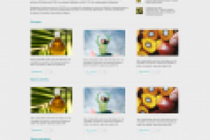 Верстка для сайта завода "Delta Wilmar"