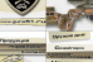 Логотипы-фрагменты для магазина оружия