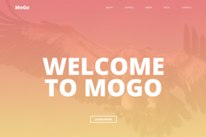 WELCOME TO MOGO