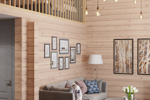 Номер для отеля в Карелии