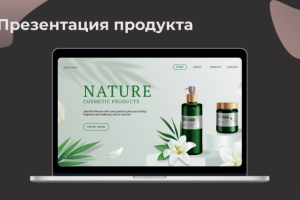 Презентация продукта