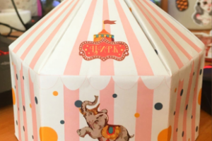 Разработка упаковки к празднику "День цирка"