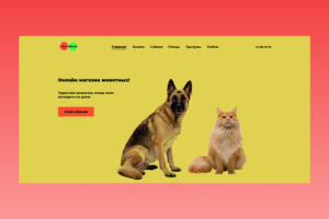 Онлайн -магазин животных.