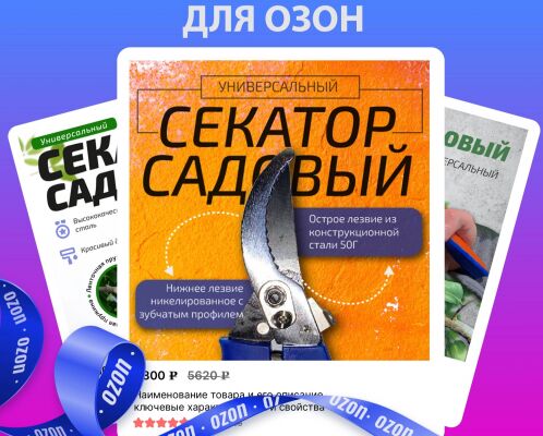 img4461037.png