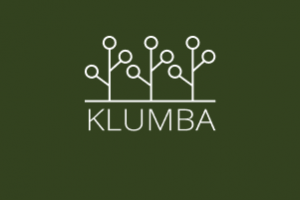 Работа 4134310