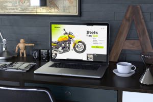 Сайт для магазина Stels