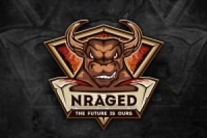 Игровая команда