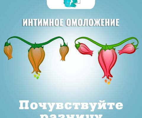 img4033471.png