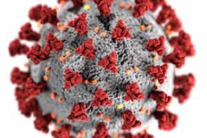 Текст на тему коронавирусной ситуации в России в первую волну