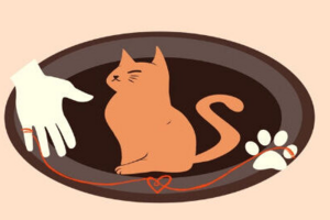Логотип к брошюре (поиск котятам дома).