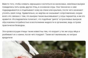 Практика в универститете.